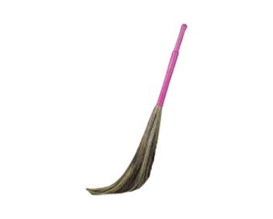 Grass Broom